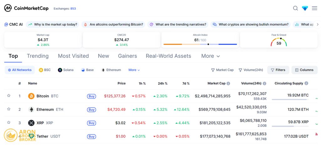 circulating supply