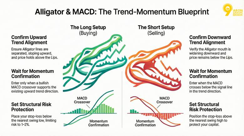 macd and alligator strategy